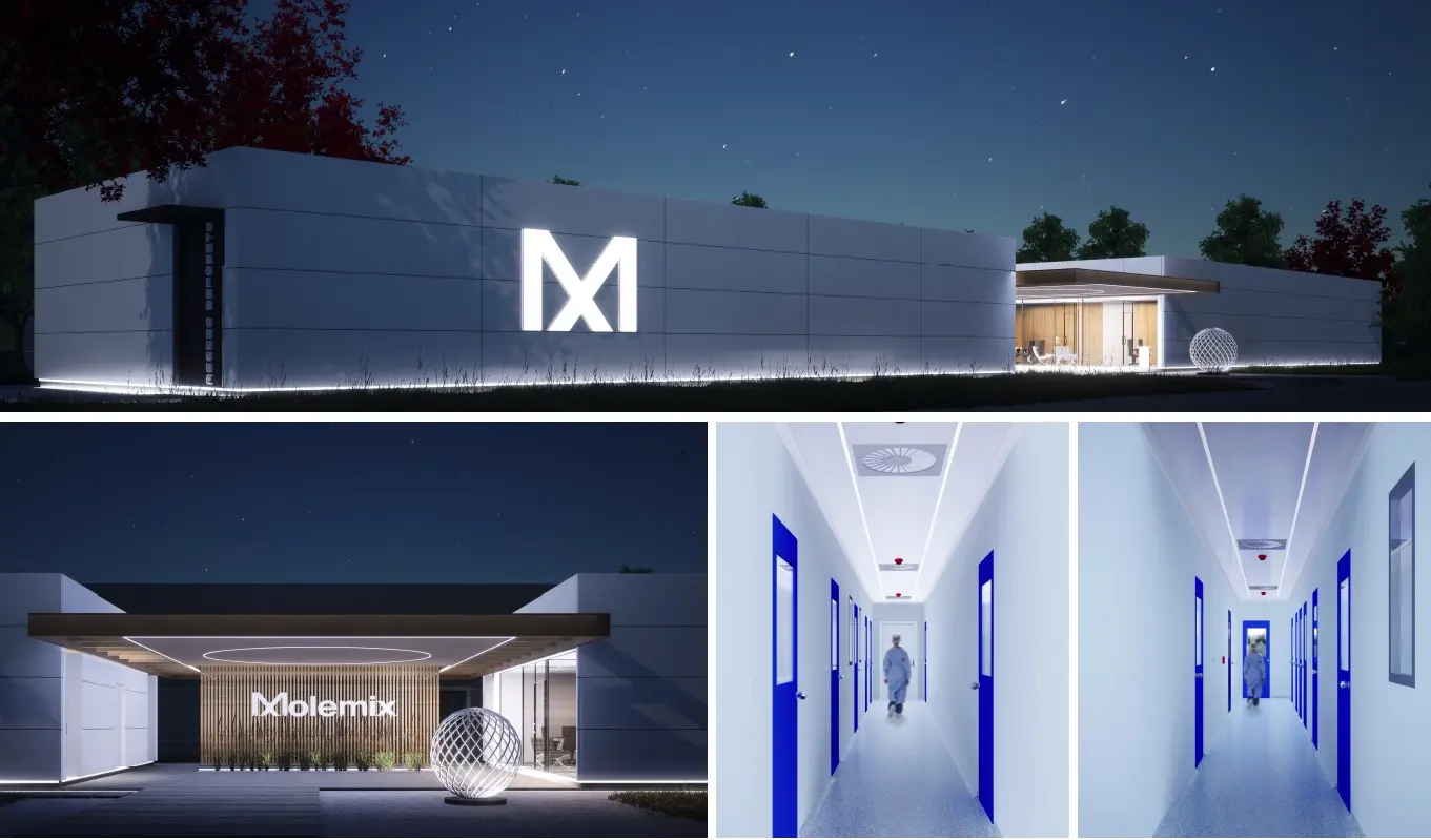 Proyecto Laboratorio Molemix