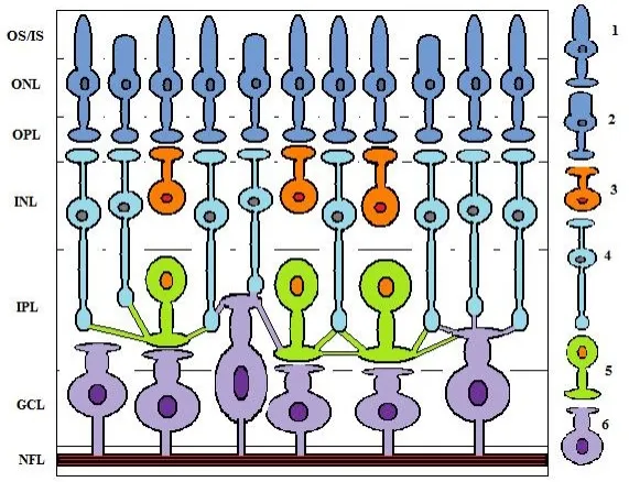 Imagen del artículo